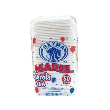 CHAROLA RECTANGULAR #066