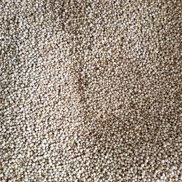 QUINOA
