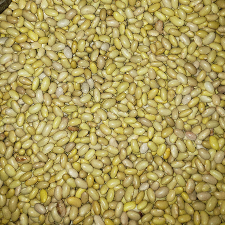 FRIJOL PERUANO HIGUERA