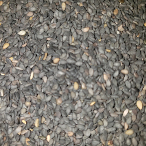 AJONJOLI NEGRO