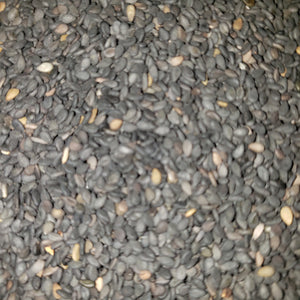 AJONJOLI NEGRO