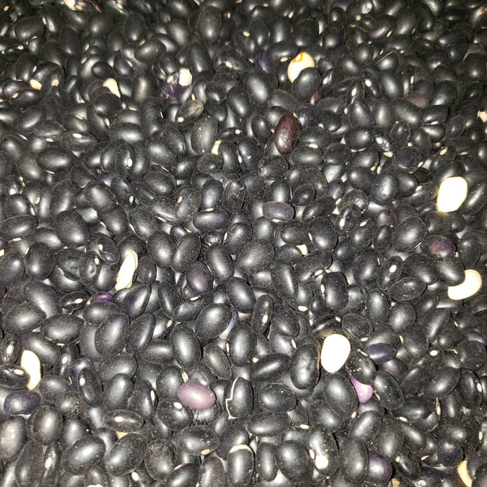 FRIJOL NEGRO