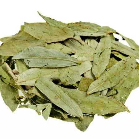 HOJA DE LAUREL