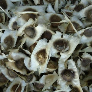 MORINGA