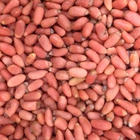 PIÑON ROSA